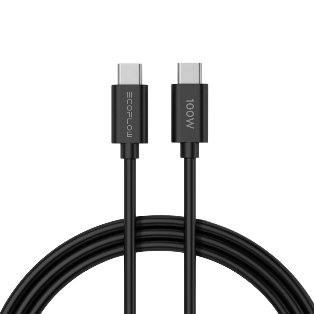 Ecoflow Charger 65W (With a C-C cable)